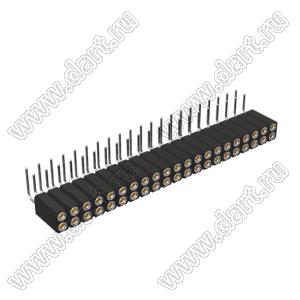 DS1002-08-2x21R13700 (7803R-21-70) гнездо цанговое угловое двухрядное для выводного монтажа; P=2,54x2,54мм; 2x21-конт.