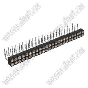 DS1002-01-2x24R13 (SCDL-024R, PBDM-2x24R) гнездо цанговое угловое двухрядное для выводного монтажа; P=2,54мм; 2x24-конт.