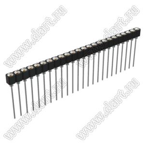 DS1007-1x24BT1XSF6