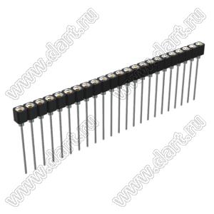 DS1007-1x23BT1XSF6