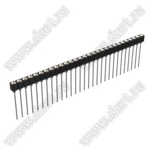DS1007-1x29BT1XSF6