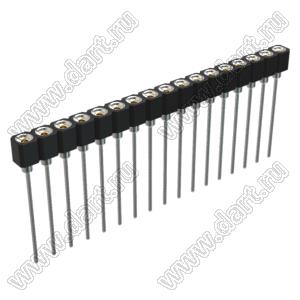 DS1007-1x17BT1XSF6