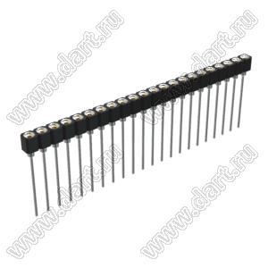 DS1007-1x22BT1XSF6