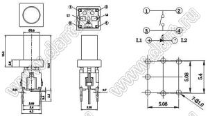 PB6149L-2 кнопка тактовая с подсветкой; желтый