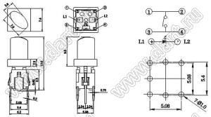 PB6145L-4 кнопка тактовая с подсветкой; синий