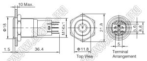 BLAS2GQF-11/DT/B/6V/S кнопка антивандальная; 1NO1NC; без фиксации; точечная; синий; 12В; нержавеющая сталь