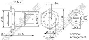 BLGQ16B-10D/JL/G/12V/S кнопка антивандальная; без фиксации; 1NO; точечная; зеленый; 12В; нержавеющая сталь