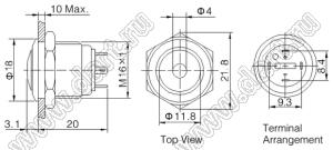 BLGQ16B-10D/J/G/12V/S кнопка антивандальная; без фиксации; 1NO; точечная; зеленый; 12В; нержавеющая сталь