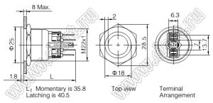 BLGQ22PF-11E/B/6V/S кнопка антивандальная антивандальный влагозащищенный; 1NO1NC; кольцевая; без фиксации; синяя; 6В; нержавеющая сталь