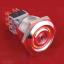 BLAS1-BGQ30-11Y/23/6V ключ-выключатель с подсветкой; нержавеющая сталь, PBT; красный/зеленый; 6В