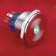 BLGQ30PF-22ZD/G/12V/S кнопка антивандальная антивандальный влагозащищенный; 2NO2NC; с фиксацией; точечная; зеленый; 12В; нержавеющая сталь