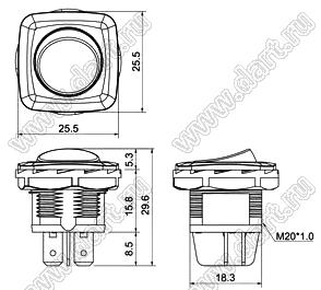 R13-268B-02-G переключатель клавишный; 4P DPST (неон) off-on