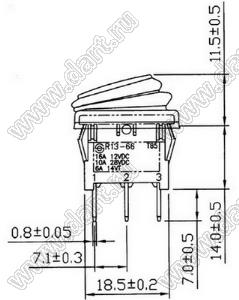 R13-66B8-02 переключатель клавишный; 3P SPST (неон) off-on (водонепроницаемый)