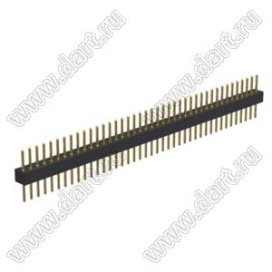BL3614-21141S-081 штыри цанговые прямые однорядные; 41-конт.