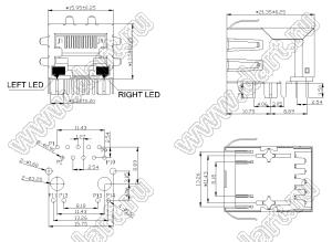 BS-RB10005 (HR933123HE) разъем RJ-45 с фильтром и светодиодами