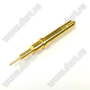 BL5580191
