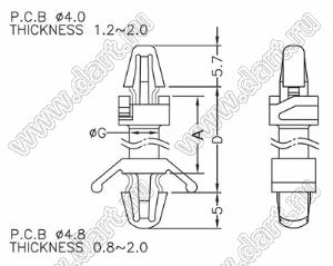 VCBS-33 фиксатор платы с двумя защелками; D=33,6мм; G=4,5мм; dп=4,0мм; s=1,2...2,0мм; d отв.=4,8мм; t=0,8...2,0мм; нейлон-66 (UL); натуральный