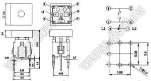 PB6141FL-3 кнопка тактовая с подсветкой; зеленый