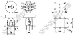 PB61412L-6 кнопка тактовая с подсветкой; чистый зеленый