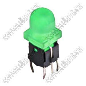 PB6146L-3 кнопка тактовая с подсветкой; зеленый