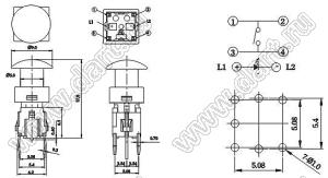 PB61410L-6 кнопка тактовая с подсветкой; чистый зеленый