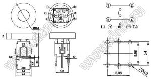 PB6147L-23 кнопка тактовая с подсветкой; желтый/зеленый