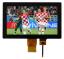 WKS70014 дисплей TFT RGB; 7,0"дюйм; 1024(RGB)*600пикс.;