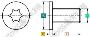 BLCMT-050060-SS304 винт с плоской головкой и внутренней звездочкой (TORX) без внутреннего выступа; M5x6мм; нержавеющая сталь AISI 304