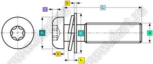 BLTXW-025250N винт с полукруглой головкой TORX и напрессованными шайбами гровера и плоской шайбой по DIN6900; M3x5мм; сталь никелиированная