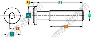 BLTHH-080550SS винт мебельный с трапецевидной головкой со внутренним шестигранником; M8x55мм; нержавеющая сталь