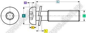 BLTXW-1-030060SS винт с полукруглой головкой и внутренней звездочкой (TORX) без внутреннего выступа с напрессованной шайбой гровера; M3x6мм; сталь нержавеющая