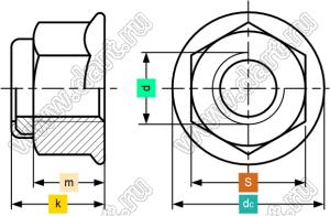 BLFL-M20x2.5SS гайка самоконтрящаяся с фланцем и стопорным пластиковым кольцом; M20; сталь нержавеющая