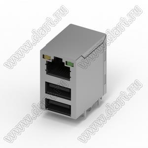 205G-CCN0 комбинированный USB, двойной USB 2.0 + магнитный разъем RJ45, прямоугольный, DIP, GF