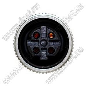 216D-04FF0 разъем M12 (код D), розетка, для установки на месте; 4-конт.; 250В; 4А; IP X7