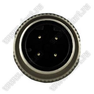 216D-04MF0 разъем M12 (код D), вилка, для установки на месте; 4-конт.; 250В; 4А; IP X7