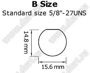 B размер (15,6 х 14,8 мм)