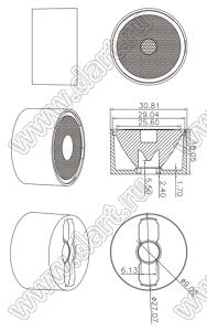 ILENS121-S31-06-NH-97M1-LM-RGBW линза для светодиода; D30,81*18,05мм; 6°; PMMA