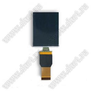 KD024EGOIN144 дисплей AMOLED 2,4-дюймовый LTPS с разрешением 450x600 точек и интерфейсом SPI/MCU/MIPI; 2,4дюйм; Количество цветов 16,7M(24bit); габариты 38,72x51,56x1,00мм