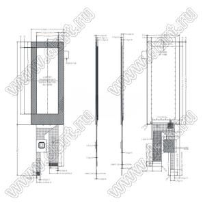 KD030WVFID029-C028A дисплей IPS  3,0 дюйма 2-полосный MIPI-интерфейс ST7701 IPS Bartype TFT с CTP; 3,0дюйм; Количество цветов 16,7M; габариты 36,96x90,08x2,79мм