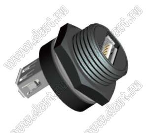 53-500552-01 розетка USB-А на панель; 5-конт.; 2A/60V