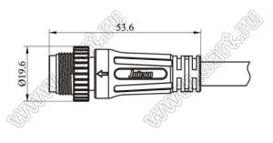 58-100211-02 вилка на кабель; 2-конт.; 10A/300V