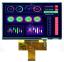 BLKD070C-4-TP дисплей TFT RGB; 800*480пикс.; актив. обл. 154,08x85,92мм; 12_00