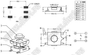 TD-07XC-X (TSTP055-250AR) кнопка тактовая SMD экранированная; 6,2x6,2x5,5мм