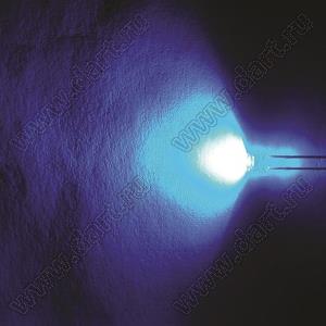 BL-UB567B3-102 (BIN-2) светодиод круглый 4,8x4,75 мм; синий; 465...470нм; корпус прозрачный; 3,1...3,3V; 600...800мКд; 120°