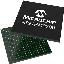 AT91RM9200-CI-002 (BGA256) микросхема SMART ARM-based MCU микроконтроллер; 16KB (SRAM); 128KB (ROM); Uпит.=1,65...1,95В; -40…+85°C